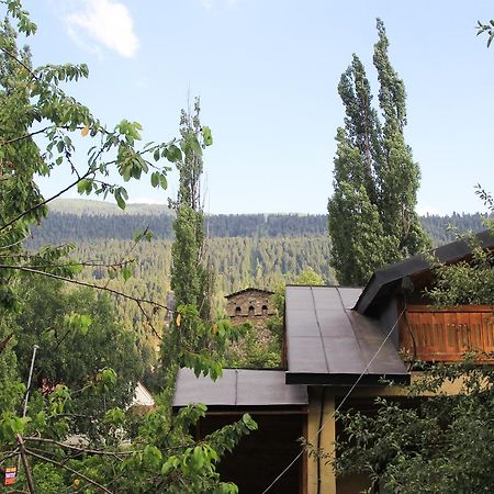 Skier'S House Mestia Exterior photo